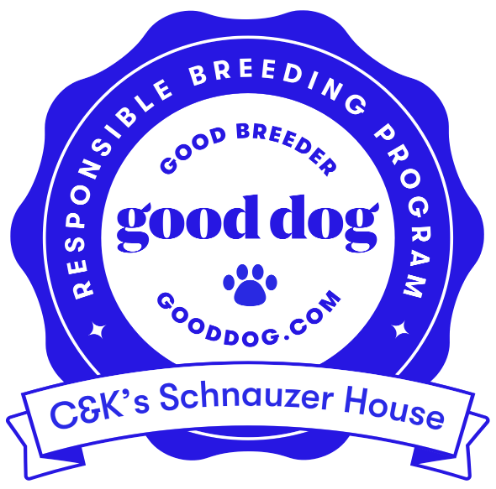 Good Dog responsible breeding program badge issued to C&K's Schnauzer House